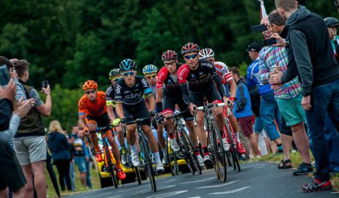 Mistrzostwa Polski w kolarstwie szosowym - Świdnica 2016 - zdjęcie 11