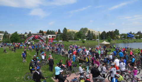 piknik (5)