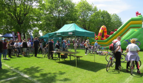 piknik (6)