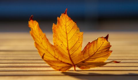 W dniu 2 listopada 2018 nie pracujemy!